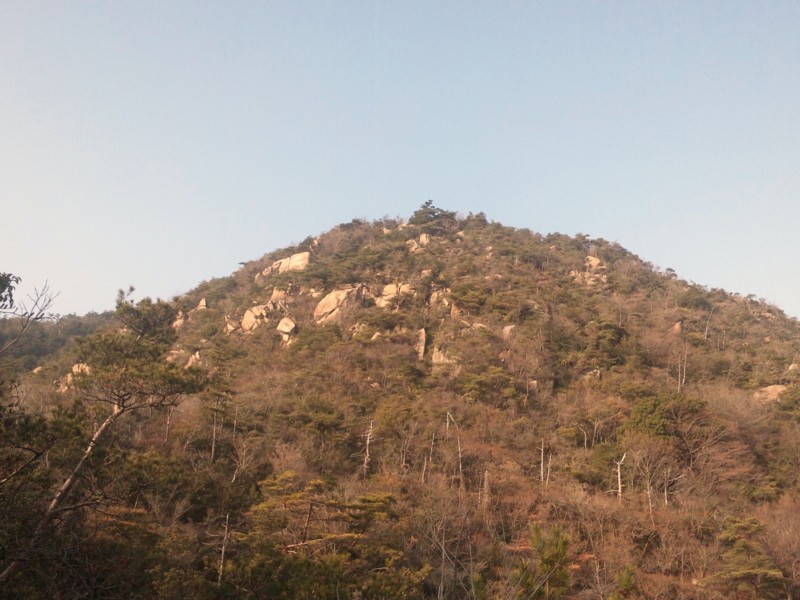 f:id:arkibito:20140202151847j:image:left