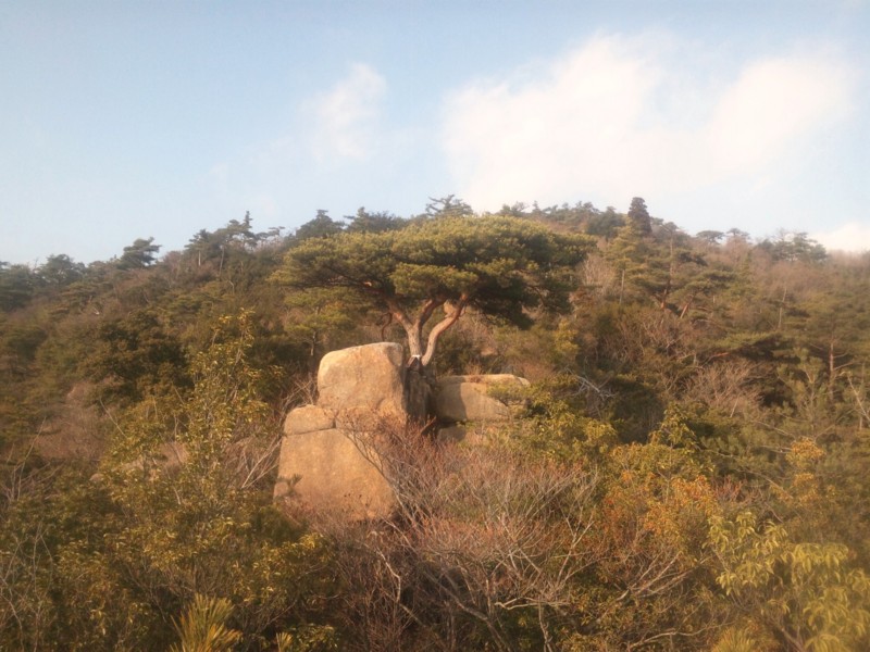 f:id:arkibito:20140202155716j:image:left