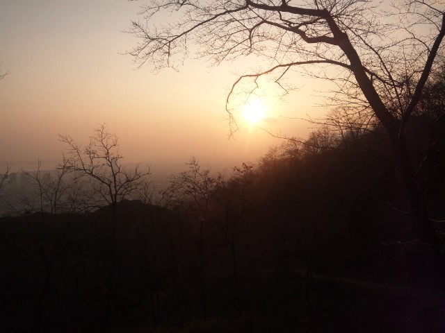 f:id:arkibito:20140202165632j:image:left
