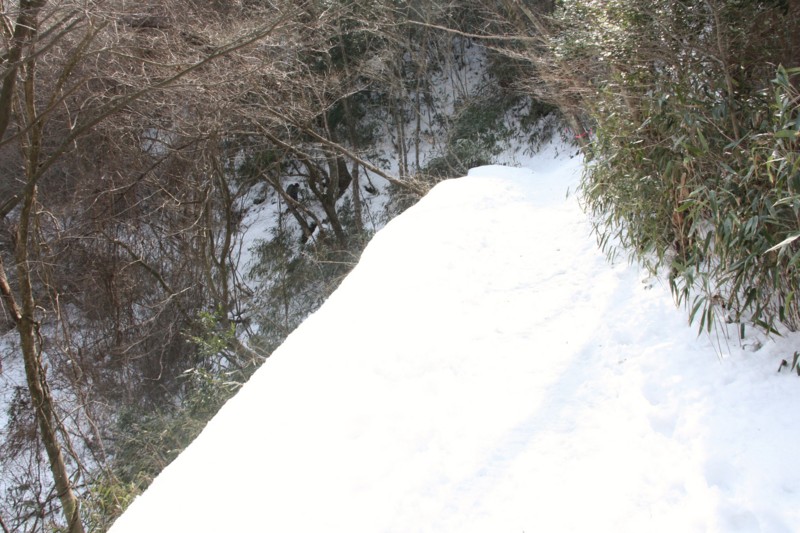 f:id:arkibito:20140216140442j:image:left