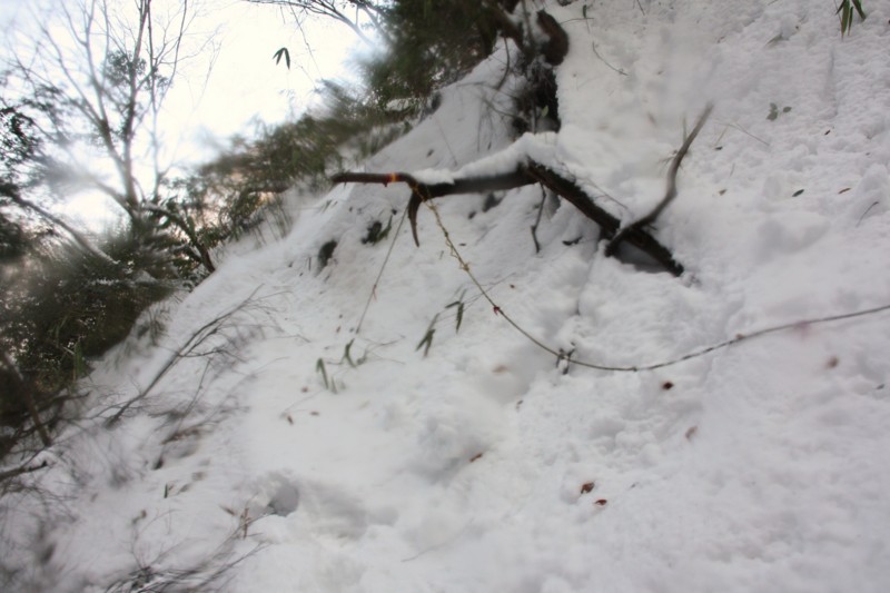 f:id:arkibito:20140216153223j:image:left