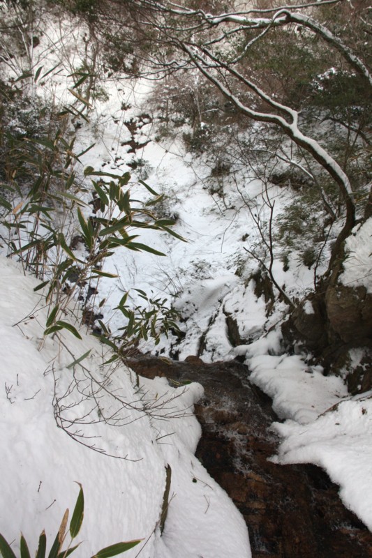f:id:arkibito:20140216160623j:image:left