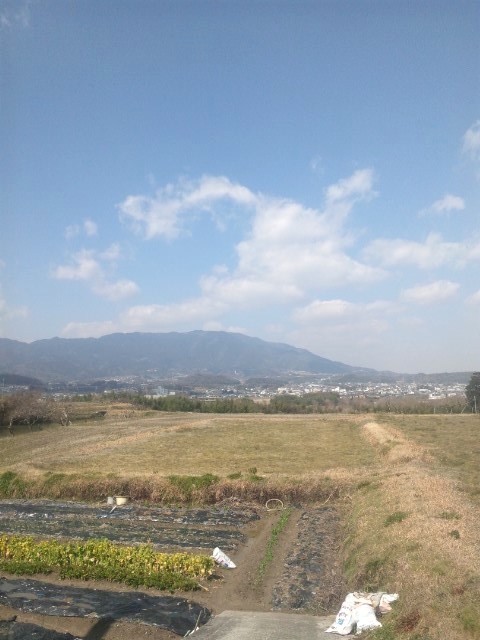f:id:arkibito:20140315131353j:image:left
