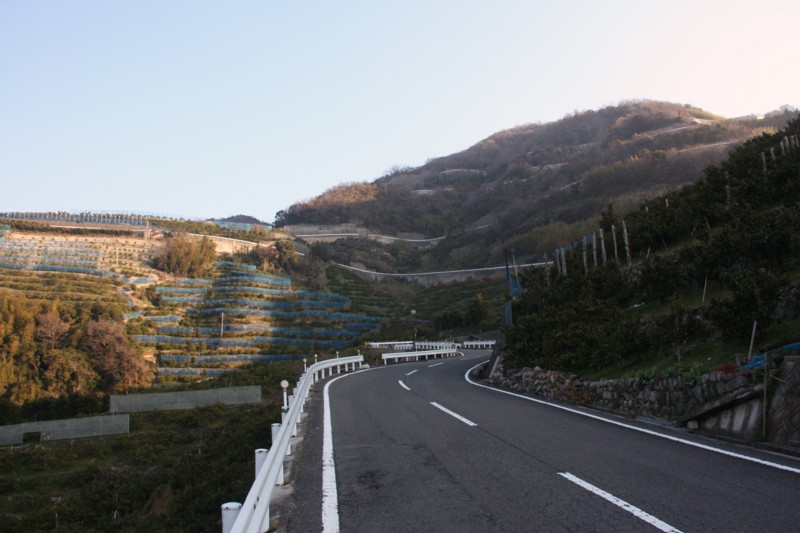 f:id:arkibito:20140323080226j:image:left