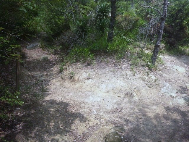 f:id:arkibito:20140629105136j:image:left f:id:arkibito:20140629105136j:image:left