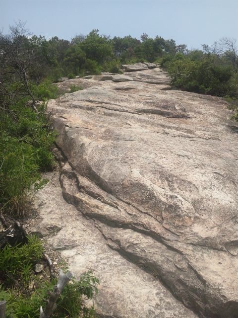 f:id:arkibito:20140629121700j:image:left f:id:arkibito:20140629121700j:image:left