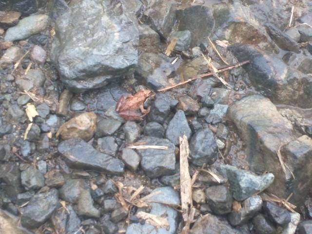 f:id:arkibito:20140704115617j:image:left