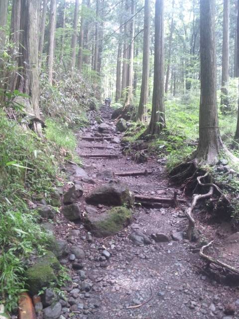 f:id:arkibito:20140721104856j:image:left