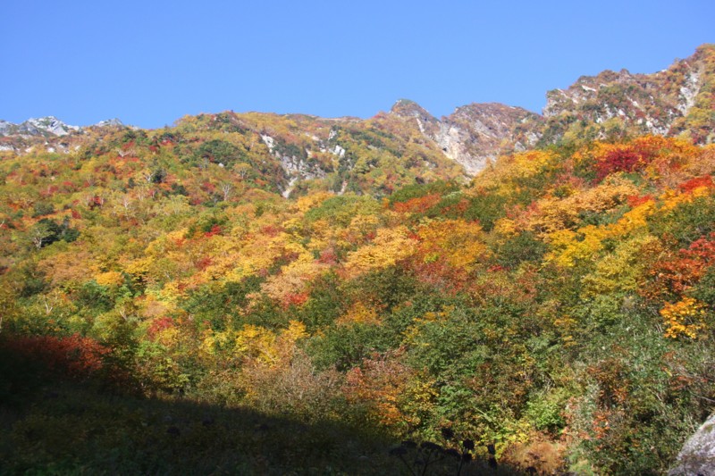 f:id:arkibito:20140928081720j:image:left f:id:arkibito:20140928081720j:image:left