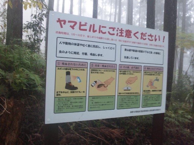 f:id:arkibito:20141129155244j:image:left