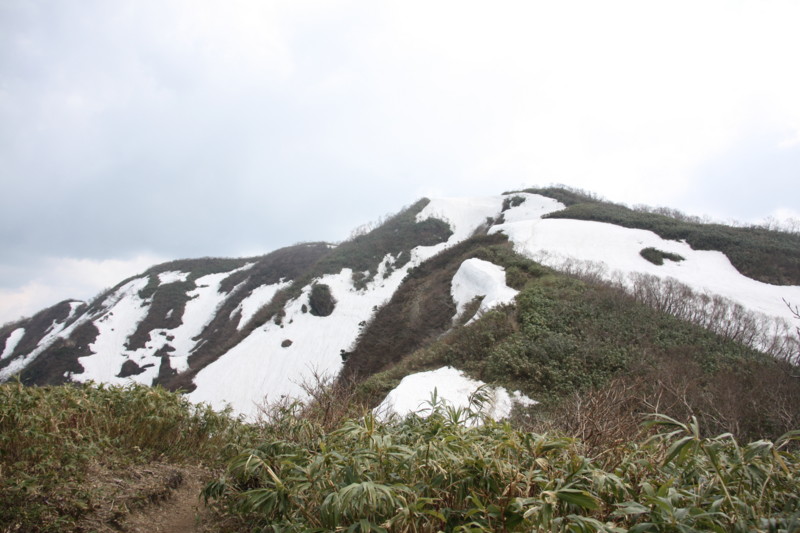 f:id:arkibito:20150429151132j:image:w640:left