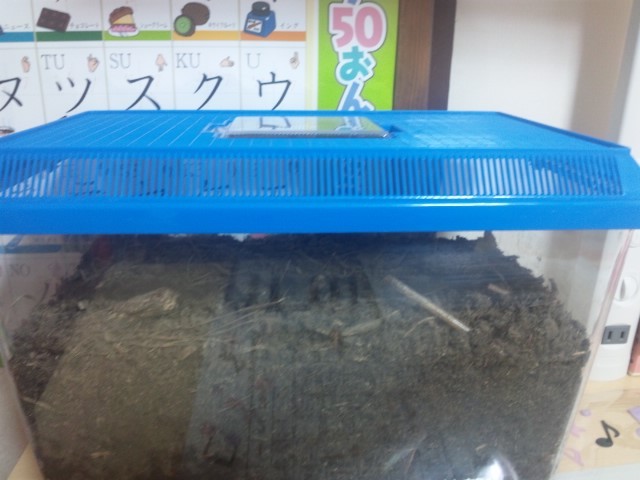 f:id:arkibito:20150620121752j:image