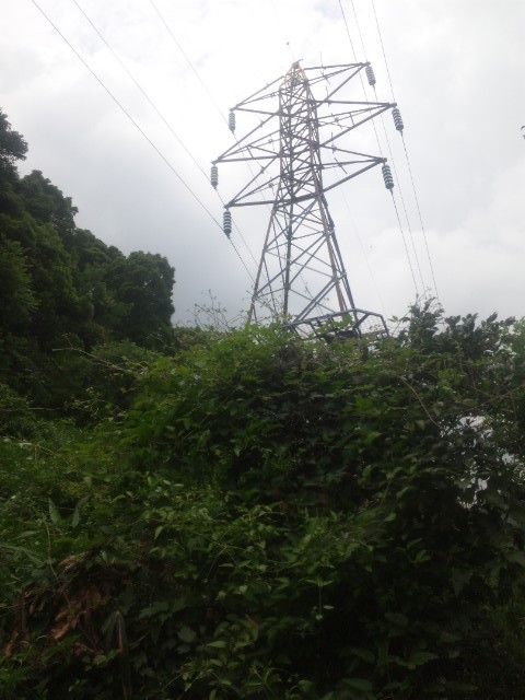 f:id:arkibito:20150623122102j:image