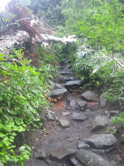 f:id:arkibito:20150719092728j:image