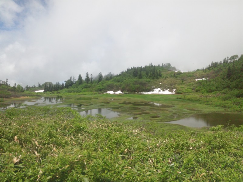 f:id:arkibito:20150719104541j:image