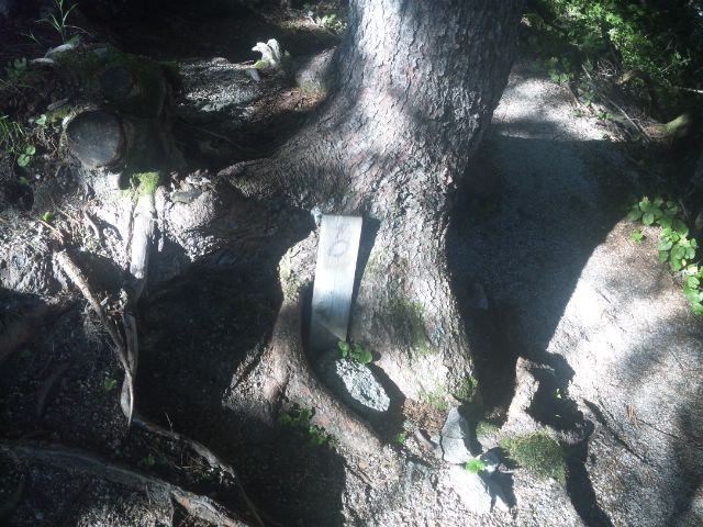 f:id:arkibito:20150801072654j:image