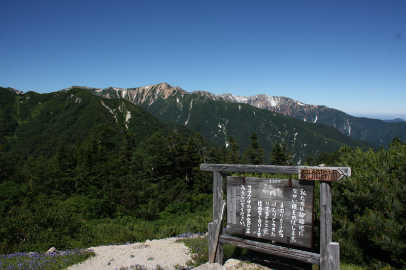 f:id:arkibito:20150801100622j:image