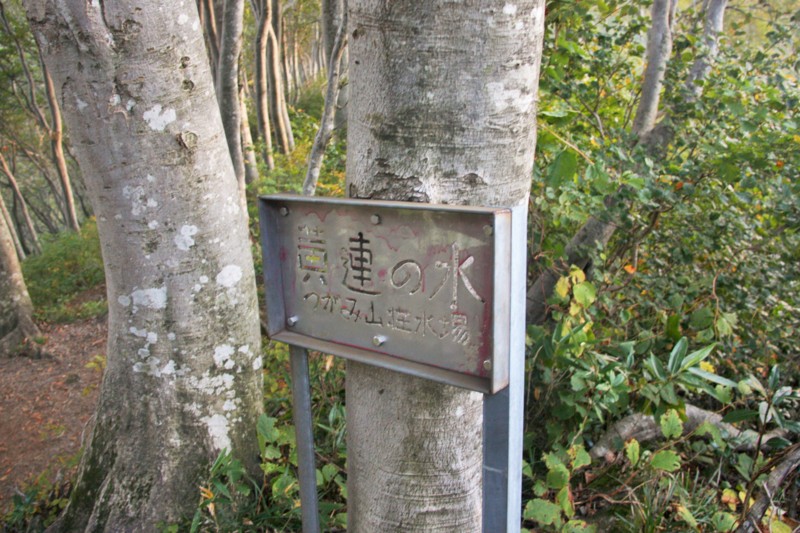 f:id:arkibito:20150923070842j:image