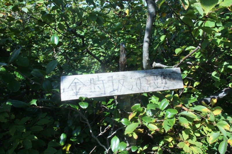 f:id:arkibito:20150923104823j:image