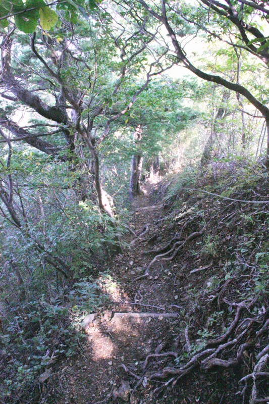 f:id:arkibito:20150923110634j:image