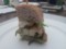20151012104251