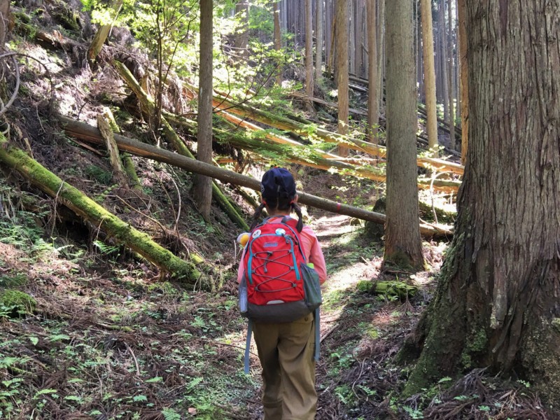 f:id:arkibito:20160505095416j:image:w360 f:id:arkibito:20160505095416j:image:w360