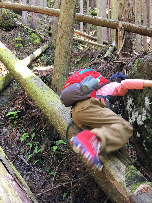 f:id:arkibito:20160505095757j:image:w360 f:id:arkibito:20160505095757j:image:w360