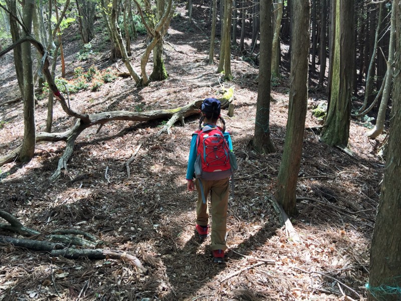 f:id:arkibito:20160505114425j:image:w360 f:id:arkibito:20160505114425j:image:w360