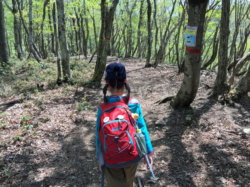 f:id:arkibito:20160505115258j:image:w360 f:id:arkibito:20160505115258j:image:w360