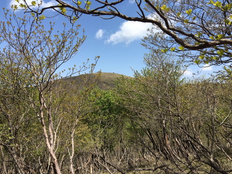 f:id:arkibito:20160505122752j:image:w360 f:id:arkibito:20160505122752j:image:w360