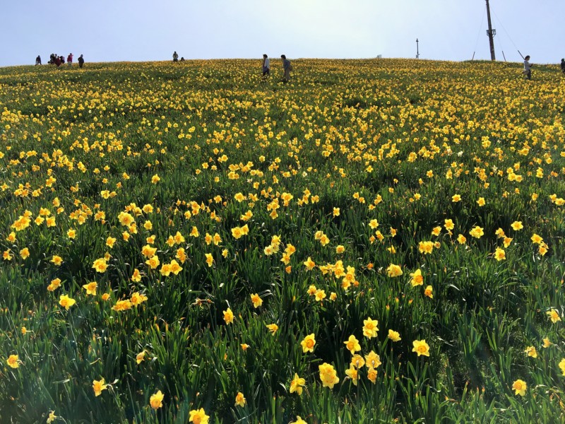 f:id:arkibito:20160505142932j:image:w640 f:id:arkibito:20160505142932j:image:w640