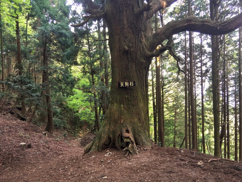 f:id:arkibito:20160505162821j:image:w360 f:id:arkibito:20160505162821j:image:w360