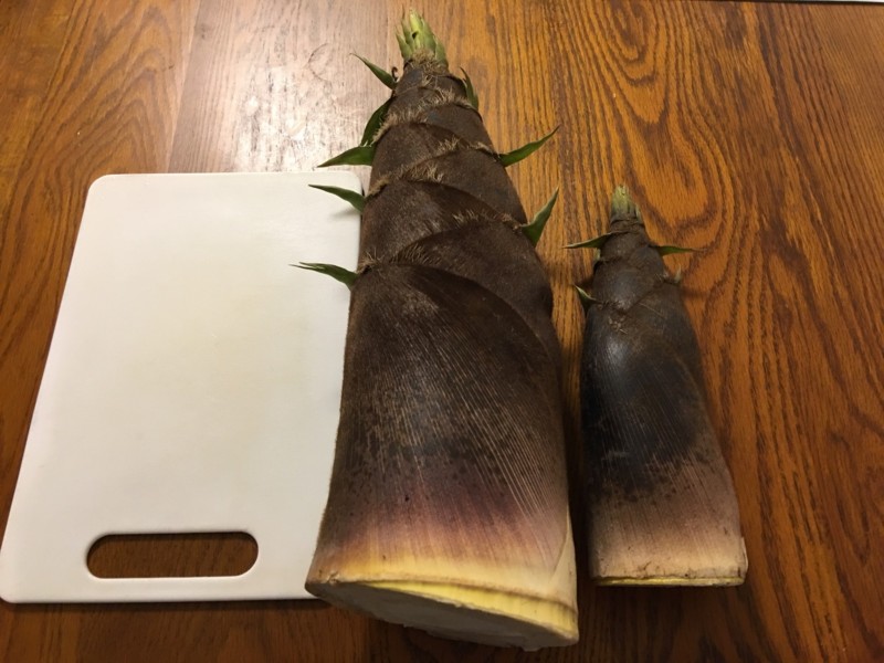 f:id:arkibito:20160508211957j:image:w360 f:id:arkibito:20160508211957j:image:w360