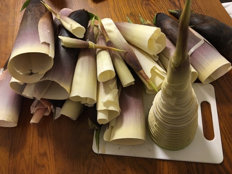 f:id:arkibito:20160508213026j:image:w360 f:id:arkibito:20160508213026j:image:w360