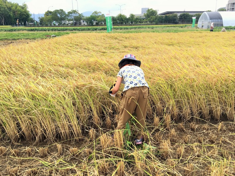 f:id:arkibito:20160911110104j:image:w360