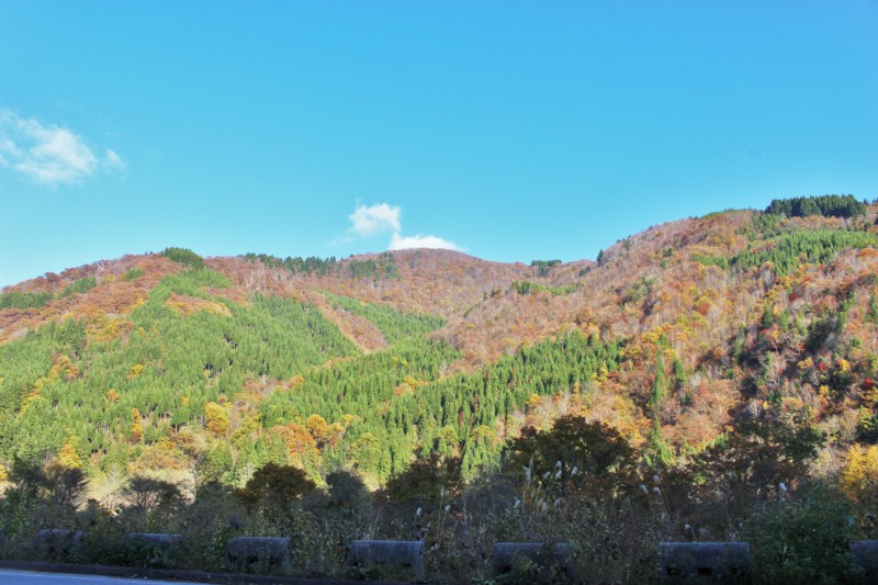 f:id:arkibito:20161112143750j:image:w360