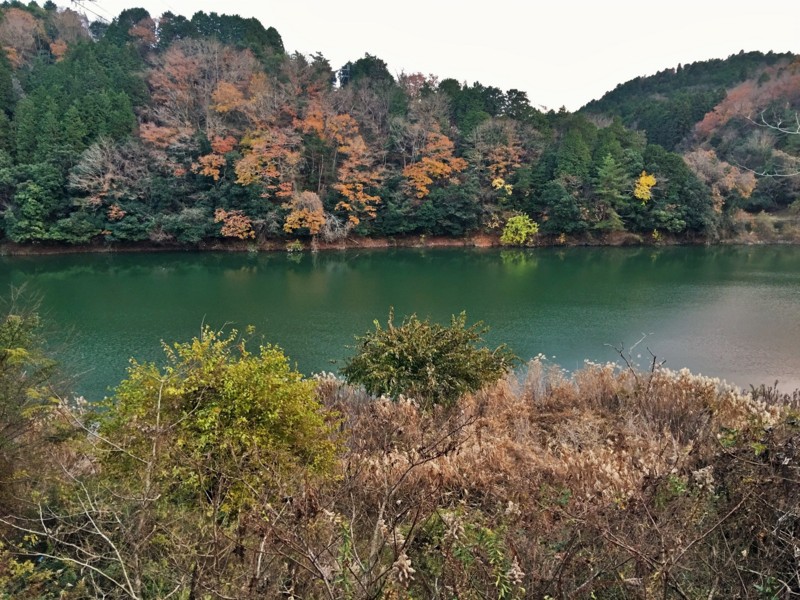 f:id:arkibito:20161211163511j:image:w360