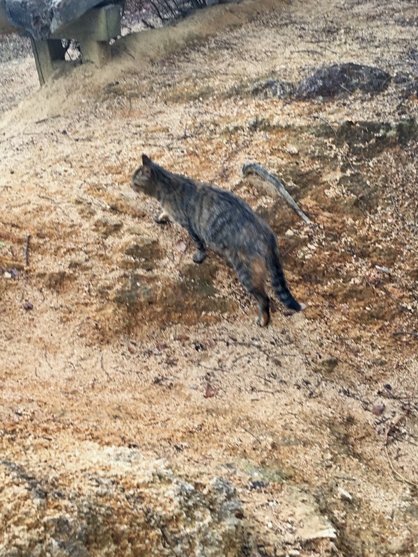 f:id:arkibito:20161230142436j:image:w360 f:id:arkibito:20161230142436j:image:w360