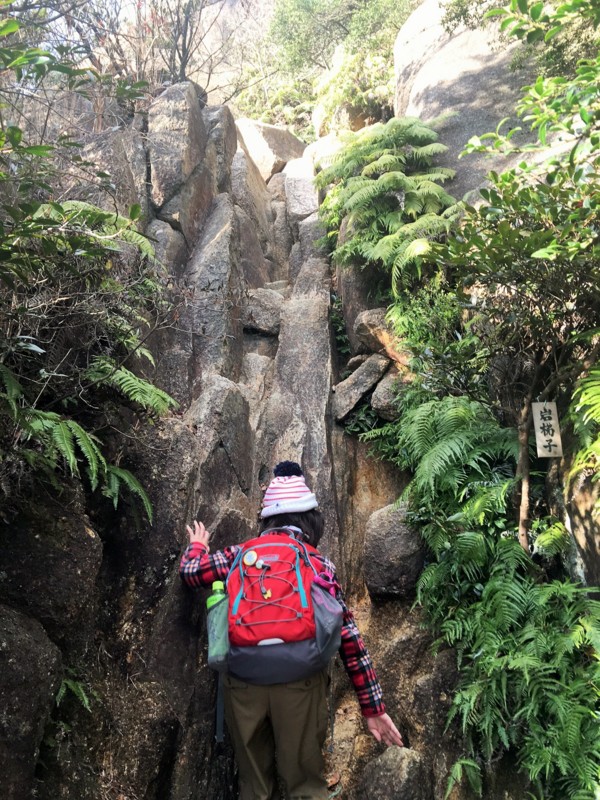 f:id:arkibito:20161230152308j:image:w360 f:id:arkibito:20161230152308j:image:w360