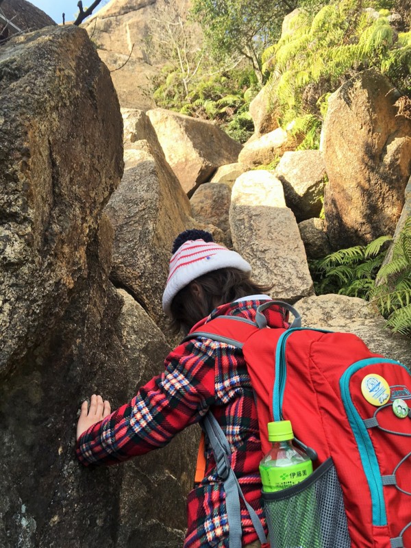 f:id:arkibito:20161230152555j:image:w360 f:id:arkibito:20161230152555j:image:w360