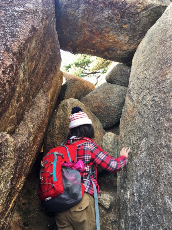 f:id:arkibito:20161230153232j:image:w360 f:id:arkibito:20161230153232j:image:w360