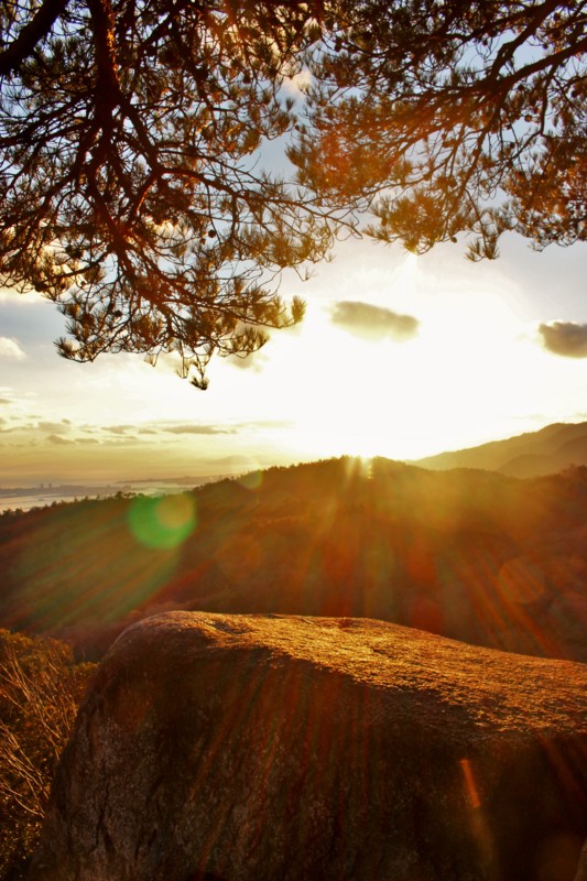 f:id:arkibito:20161230162844j:image:w360 f:id:arkibito:20161230162844j:image:w360