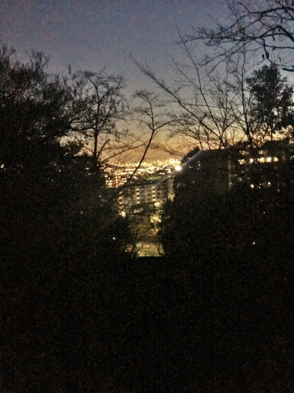 f:id:arkibito:20170317184325j:image:w360