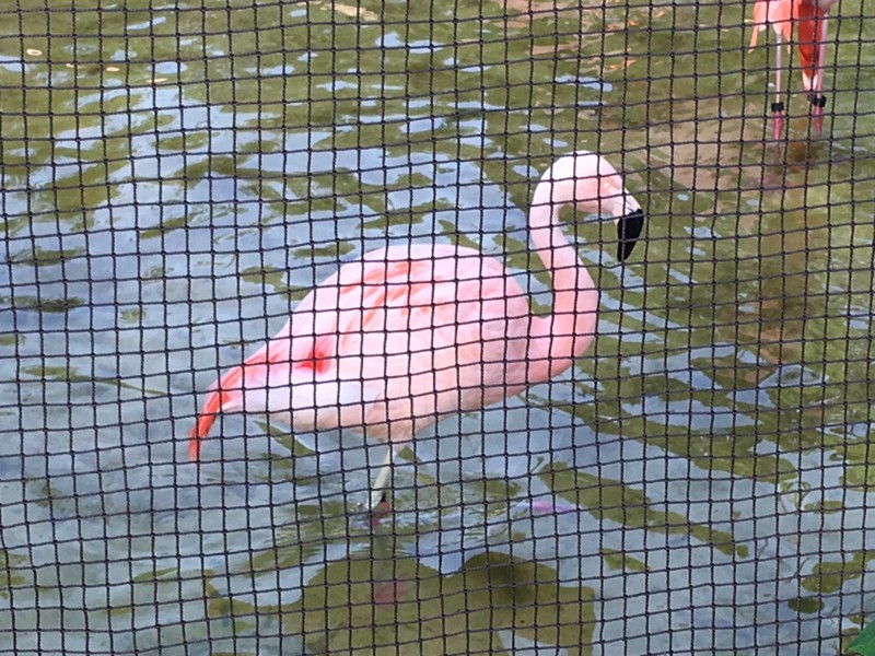 f:id:arkibito:20170507165200j:image:w360 f:id:arkibito:20170507165200j:image:w360