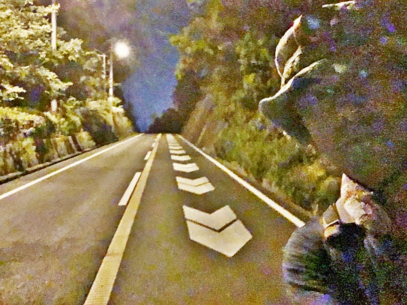 f:id:arkibito:20170603020733j:image:w360
