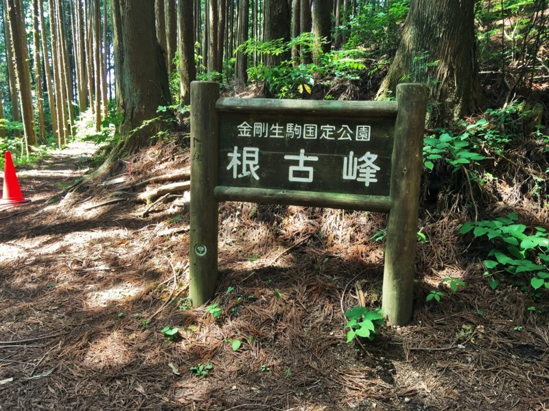 f:id:arkibito:20170603135305j:image:w360