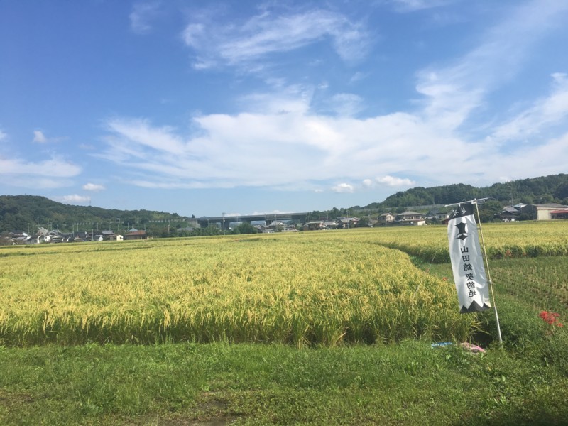 f:id:arkibito:20170924102812j:image:w360 f:id:arkibito:20170924102812j:image:w360