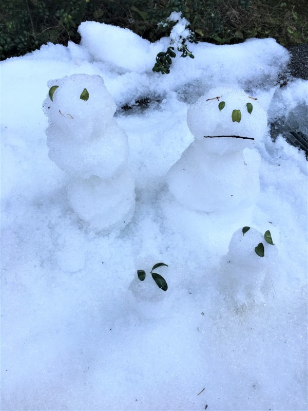 f:id:arkibito:20171223135226j:image:w360