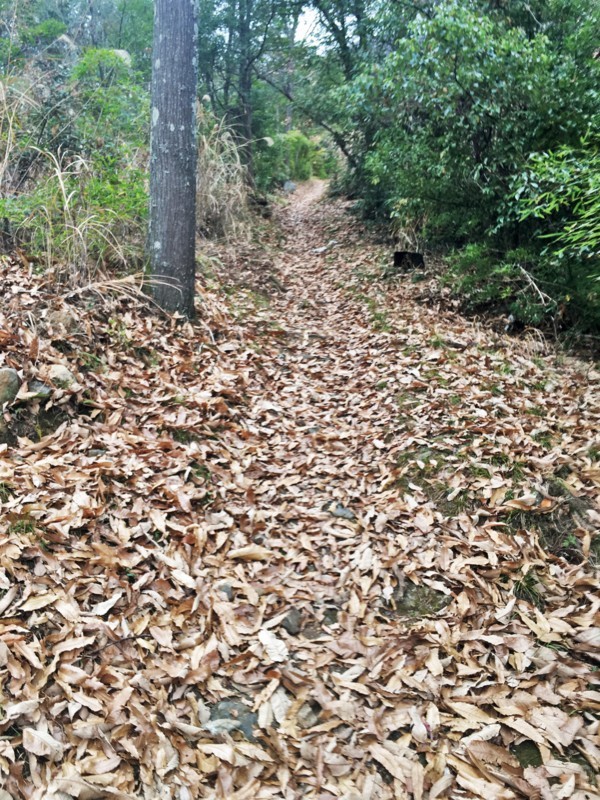 f:id:arkibito:20180107141354j:image:w360