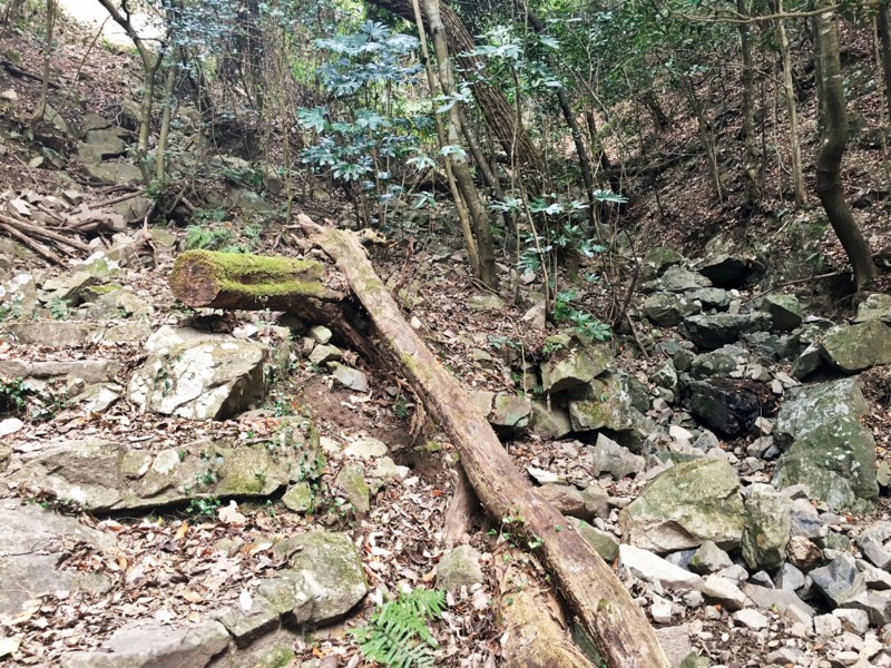 f:id:arkibito:20180107142850j:image:w360